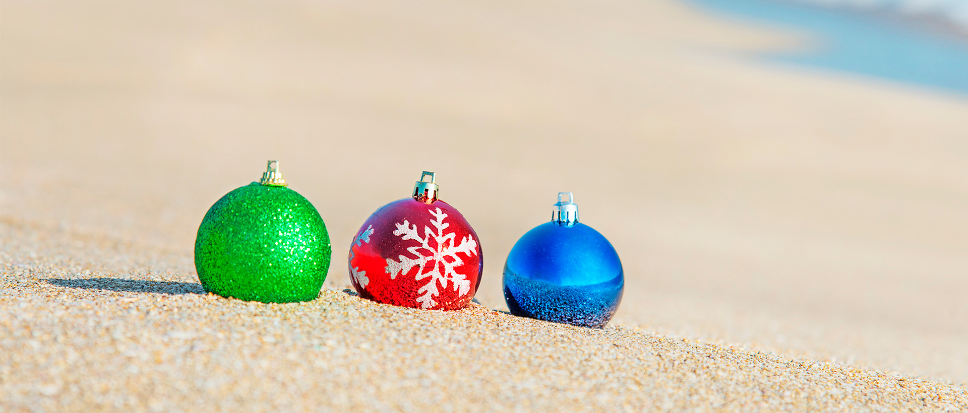 Temporada festiva en Armony: celebra Navidad y Año Nuevo en Punta de Mita
