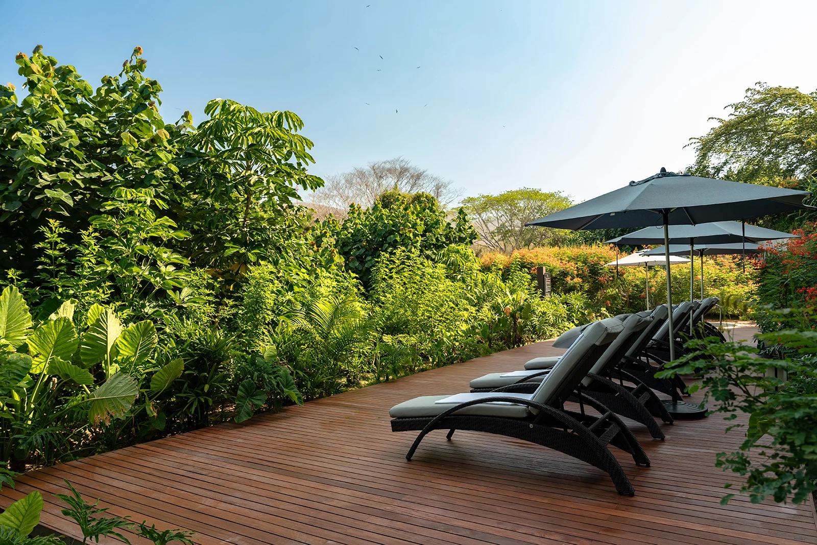 Mélange World Spa Punta de Mita