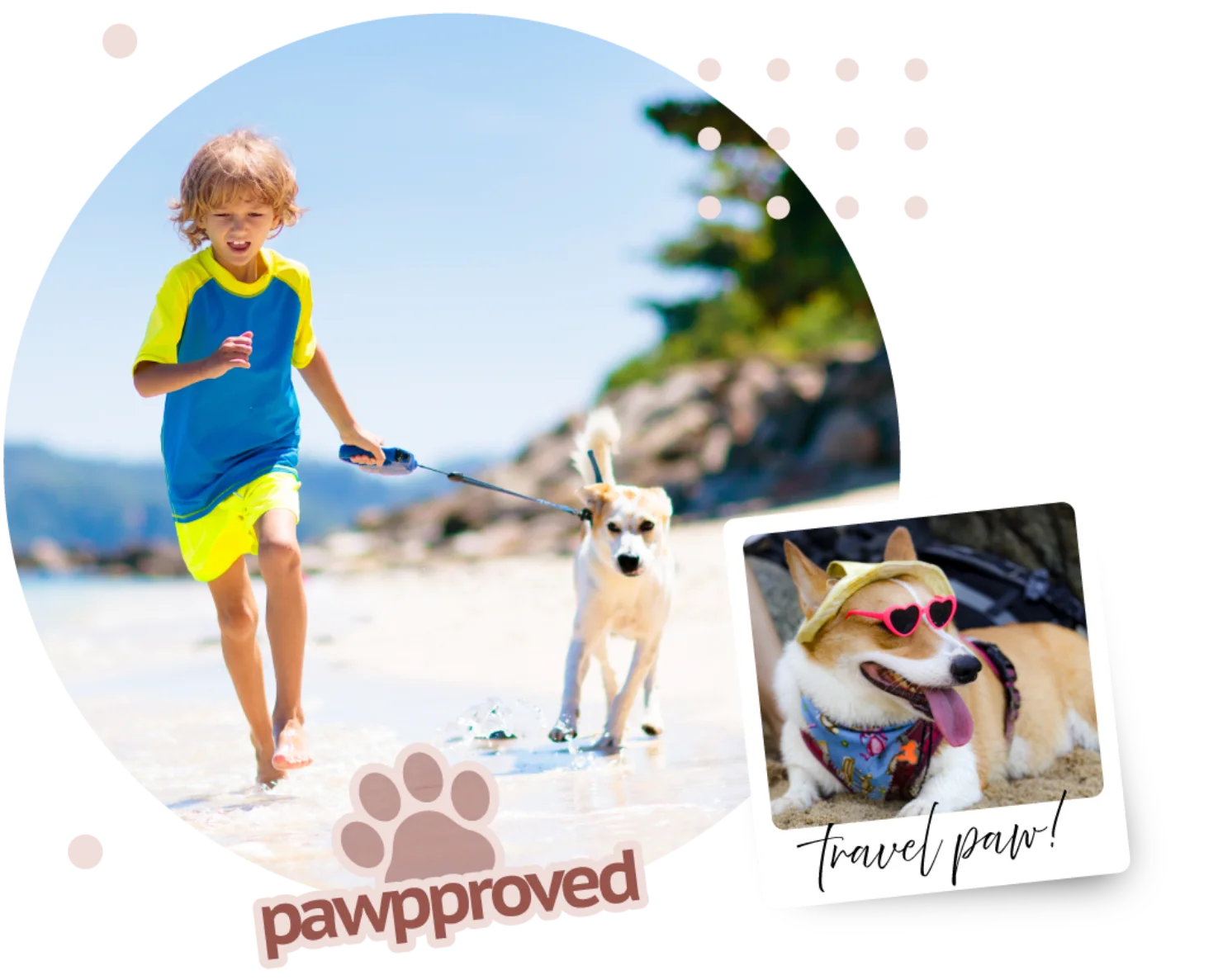 Viajar es para todos, incluso para los perritos